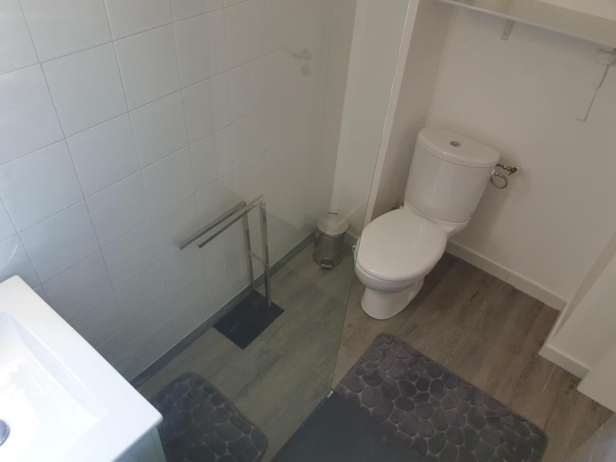 Joli Appartement 44M2 Centre Ville Corte كورتي المظهر الخارجي الصورة